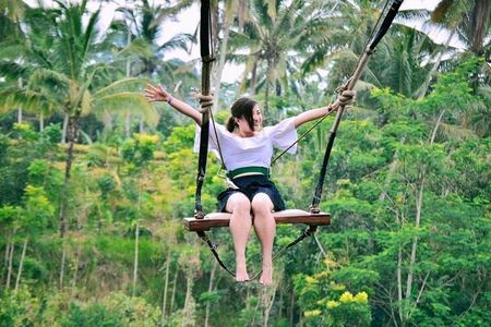 Ubud Experience | Full Day Private Tour in Ubud | FREE WIFI