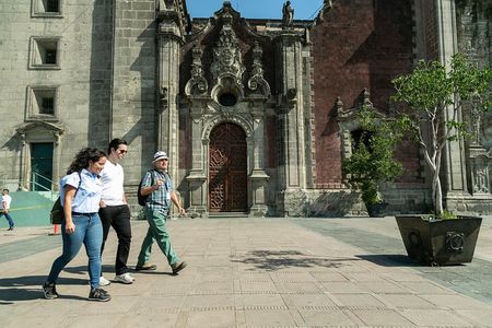Private Mexico City Walking Tour with a Local: Roma & Condesa 100% Personalized
