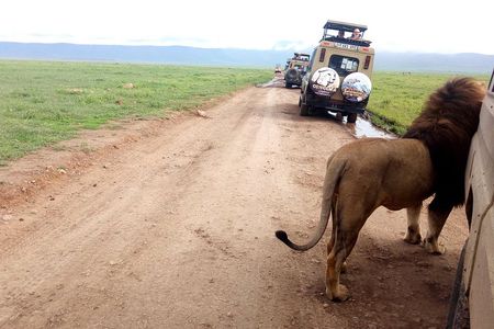 5 Day Camping Safari to Lake Manyara, Serengeti and Ngorongoro Crater