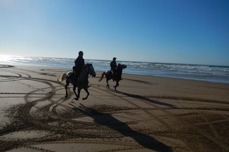3 Hours Horse Riding with Dinner and Overnight Berber Camp