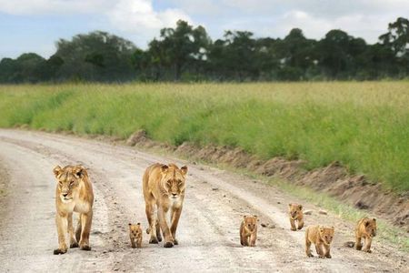 Nairobi national park ,Giraffe center and Beads factory