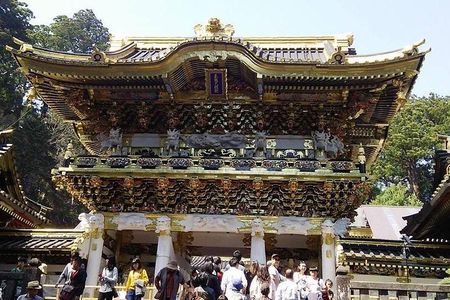 Nikko day trip in a private minivan with a licensed tour guide