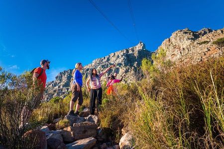 Private Hiking Tour of Table Mountain