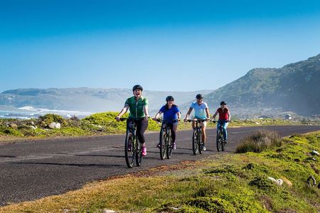 Private Cycling Tour of The Cape Peninsula from Cape Town
