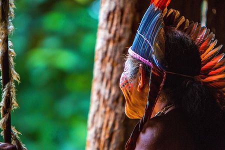 Amazon Rainforest - Private Multi Day Tour