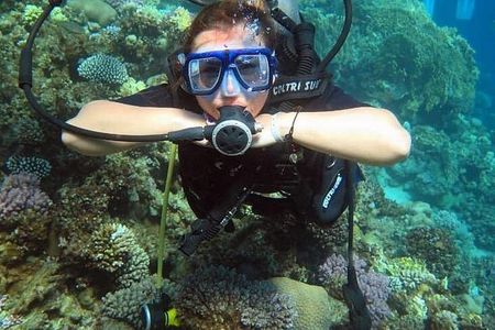2 Dives in Tiran Island by boat