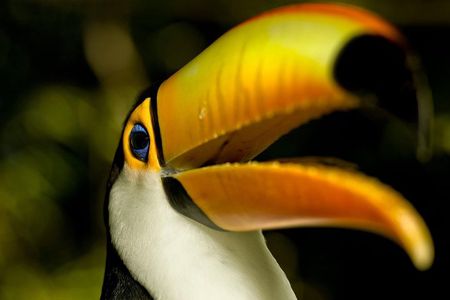 Brazil Family Adventure - Private Multi Day Tour