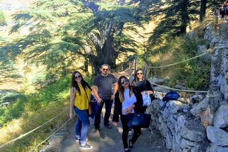 Private Full-Day Tour to Qadisha valley, Cedars of God and Baalbek from Beirut