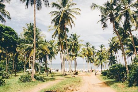 Brazil Surfing & Chocolate Private Multi Day Tour