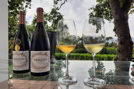 Full-Day Private Guided Wine Tasting Tour of Cape Wineries