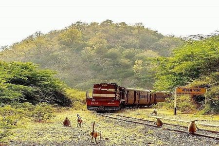 8 Nights/9 Days Majestic Rajasthan Tour Package