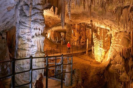 Postojna Cave & Predjama Castle from Bled