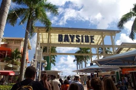 Miami Combo Tour (Everglades Tour + Boat Tour)