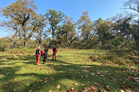 2 Nights 3 Days Chitwan Wildlife Jungle Safari Package Tour