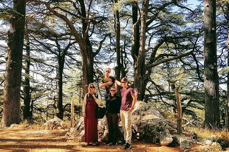 Guided Small-Group Tour to Baalbek, Cedars & Qozhaya with Lunch