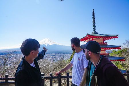 Mt. Fuji Private Chartered Tour with Nature & Wasabi Farm