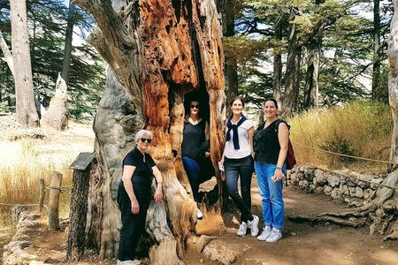 Small-Group Tour with Lunch to Qadisha Valley, Bcharre and Cedars