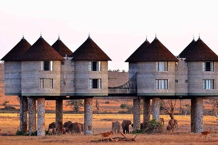 2 Days (1 night); Tsavo East & Saltlick Safari: 