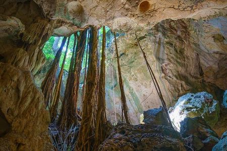 Private Exploring Tour in Green Grotto Caves and Rafting on the Martha Brae