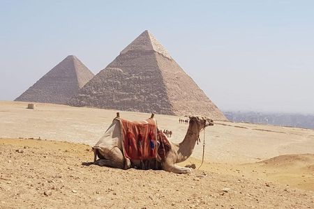 Private Half Day Giza Pyramids and Sphinx Tour