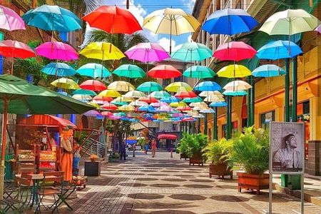 Mauritius Guided North Tour (Private)