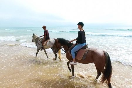 Camel riding and sunset