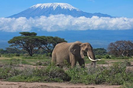 7 Days Into the Wild Wonder : Lodge Safari with Private 4x4 JEEP