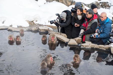 Private Nagano 1-Day Tour:Snow Monkeys,Zenko-ji,Obuse,Sake,Onsen