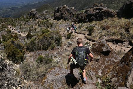 Mount Kilimanjaro Day Hike
