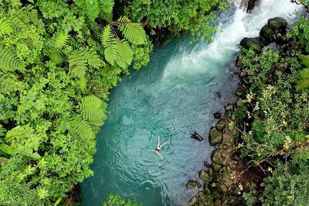 Private Tour Rio Celeste, Waterfalls, Rainforest, Sloth Encounter