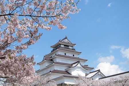 Aizu 4hr Private Tour with Government-Licensed Guide