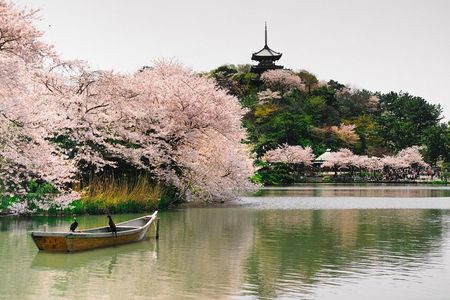 Yokohama Private Customizable Half Day Tour