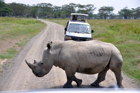 Nairobi National Park, Giraffe center & Beads Factory Guided Day Tour