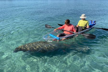 Guided Clear Kayak Eco-Tour of Jupiter