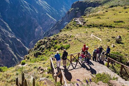 Colca Canyon 2d / 1n and landing in Puno