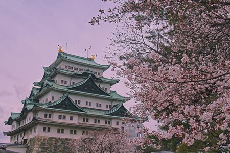 Nagoya Private Customizable Half Day Tour
