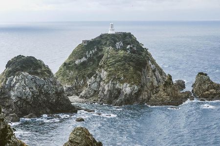 Kagoshima Private Customizable Half Day Tour