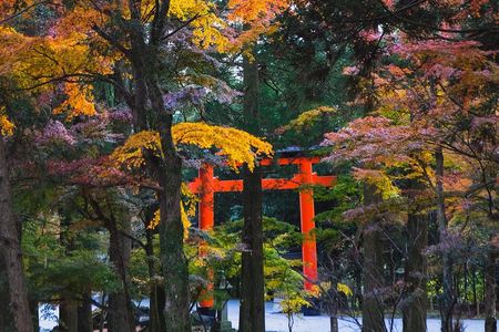 Kagoshima Private Customizable Half Day Tour
