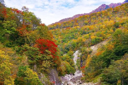 Niigata Private Customizable Full Day Tour