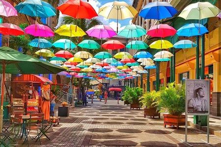 Mauritius Guided North Tour (Private)