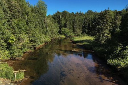Fly Fishing Guided Experiences