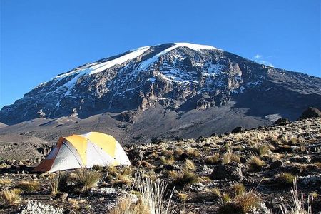 9 Days Kilimanjaro Hiking | Climbing via Northern Circuit route