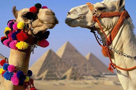 Cairo : Giza Pyramids ,Sphinx , Sakkara & Memphis Full-Day Tour with Camel Ride