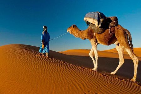 7-Day Private Guided Cultural Tour of Morocco from Casablanca