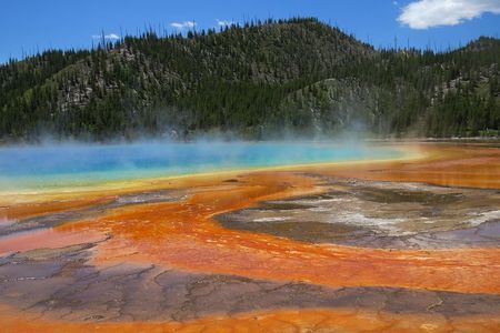 Yellowstone National Park - PRIVATE Full-Day Lower Loop Tour from W. Yellowstone