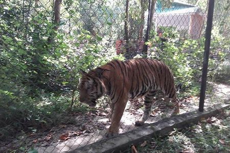 Tamao Mountain and Tonle Bati Private Day Trip from Phnom Penh