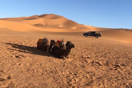 3-Day Tour from Marrakech to Fes with Desert Break