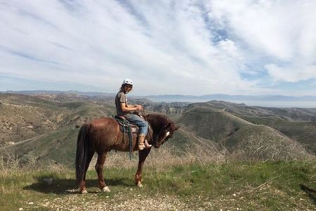 2 Hour Wildflower Horseback Trail Ride experience in Agoura Hills