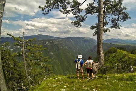 Hiking Sokolina Peak in Montenegro