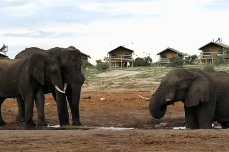 Johannesburg or Gaborone to Victoria Falls 10 Day ACROSS BOTSWANA SmallGroupTour
